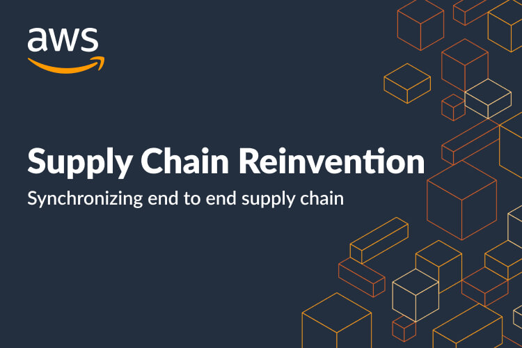 Supply Chain Reinvention