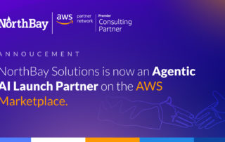 AgenticAI Partner